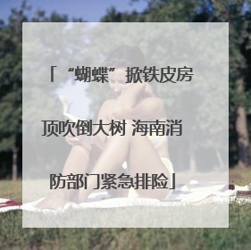 “蝴蝶”掀铁皮房顶吹倒大树 海南消防部门紧急排险